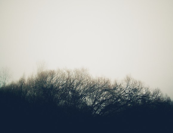 Ryan_Fog Noir Brush 1