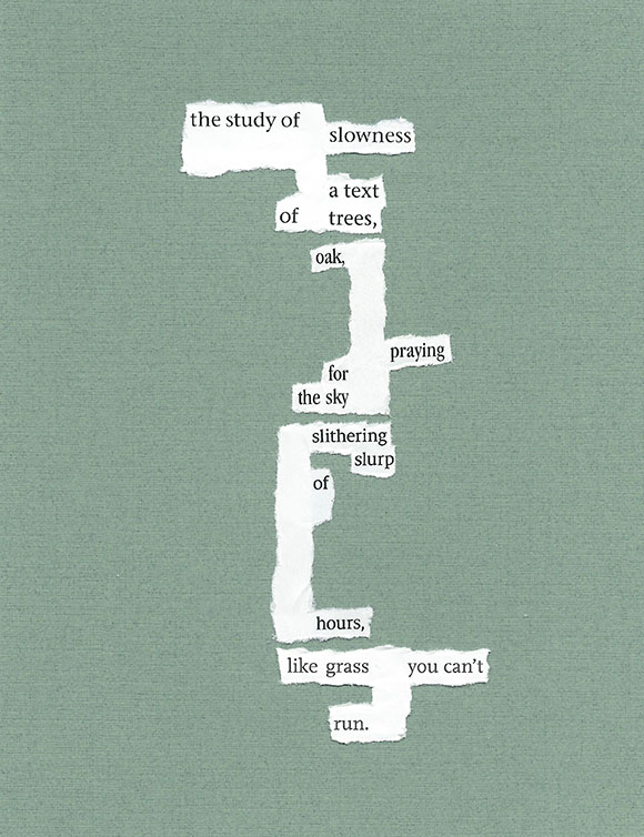 J.I. Kleinberg - the study